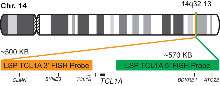 TCL1A Break Apart FISH Probe Kit 