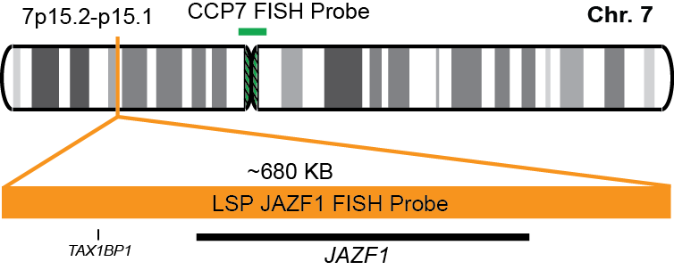 JAZF1/CCP7 FISH Probe Kit