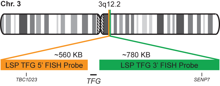 TFG Break Apart FISH Probe Kit