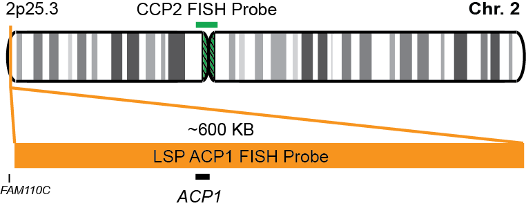 ACP1/CCP2 FISH Probe Kit 