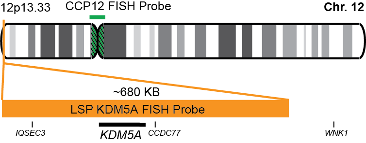 KDM5A/CCP12 FISH Probe Kit 