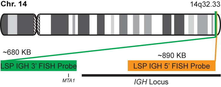 IGH Break Apart FISH Probe Kit