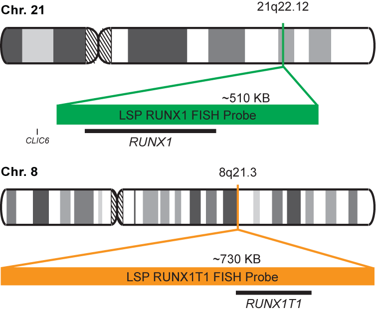 RUNX1-RUNX1T1 Dual Fusion/Translocation FISH Probe Kit 