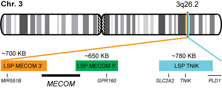 MECOM Tri-color Break Apart FISH Probe Kit