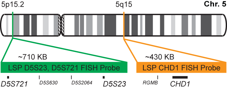 CHD1/D5S23, D5S721 FISH Probe Kit 