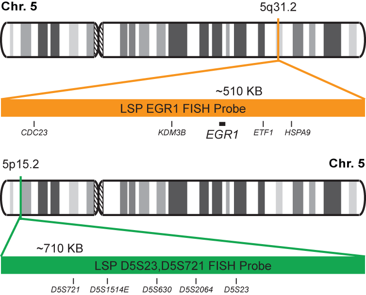 EGR1/D5S23, D5S721 FISH Probe Kit   