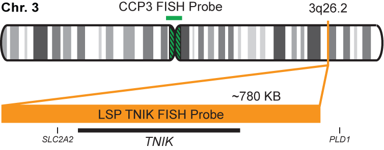 TNIK/CCP3 FISH Probe Kit  