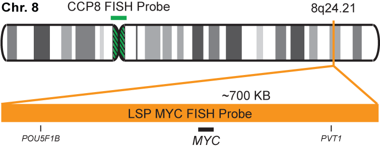 MYC/CCP8 FISH Probe Kit 