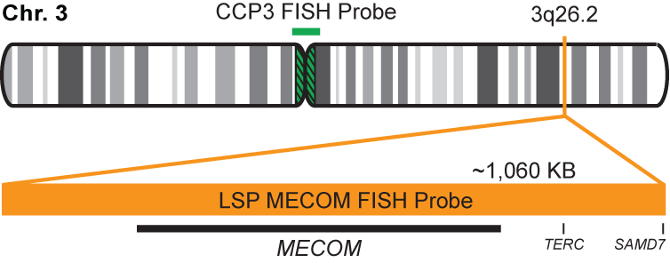 MECOM/CCP3 FISH Probe Kit 