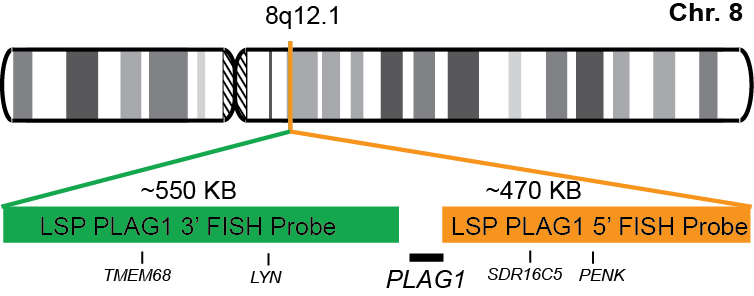 PLAG1 Break Apart FISH Probe Kit 