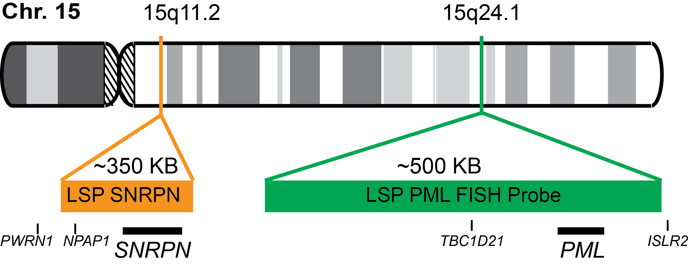 SNRPN/PML FISH Probe Kit 