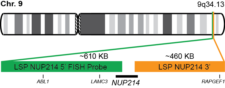 NUP214 Break Apart FISH Probe Kit 