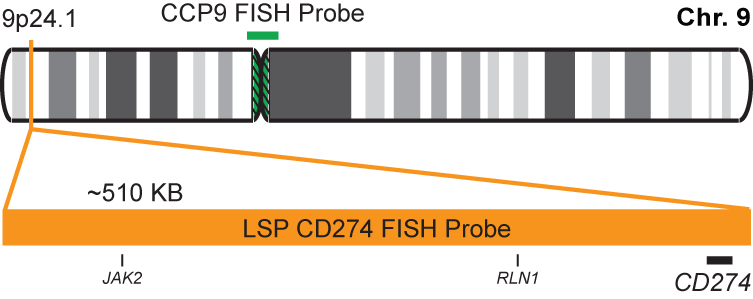 CD274/CCP9 FISH Probe Kit