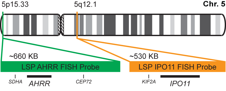 IPO11/AHRR FISH Probe Kit