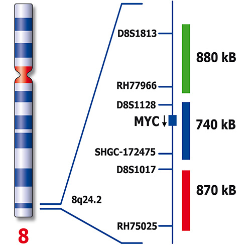 MYC (8q24) Break (tissue)