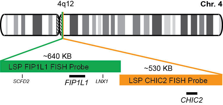 FIP1L1/CHIC2 FISH Probe Kit 