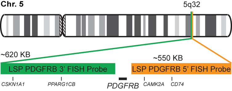 PDGFRB Break Apart FISH Probe Kit 
