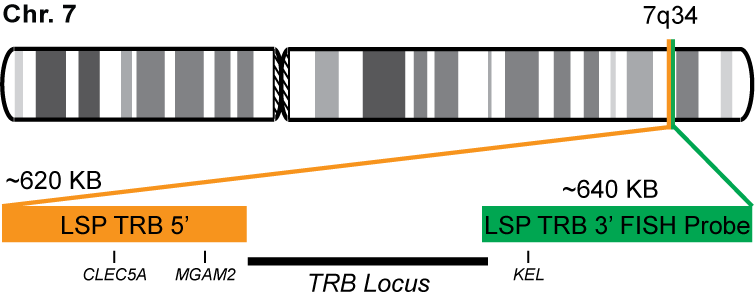 TRB Break Apart FISH Probe Kit