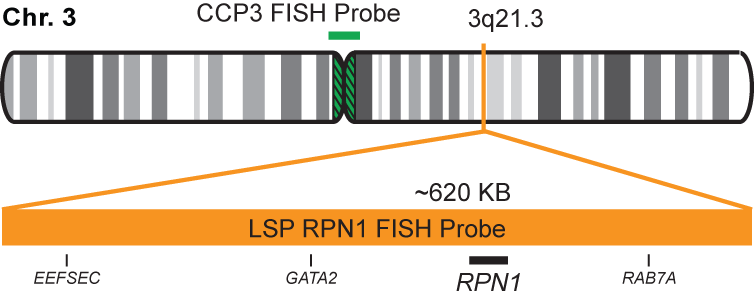 RPN1/CCP3 FISH Probe Kit  