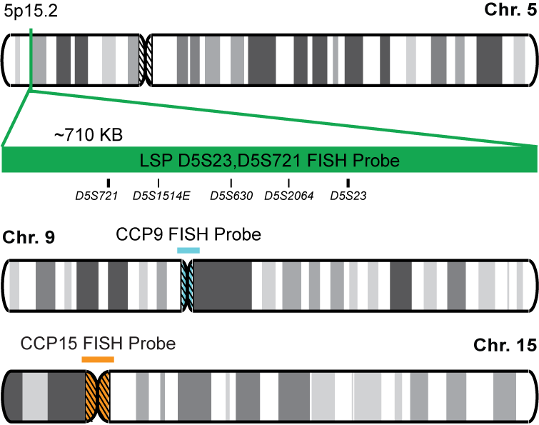 D5S23, D5S721/CCP9/CCP15 FISH Probe Kit 