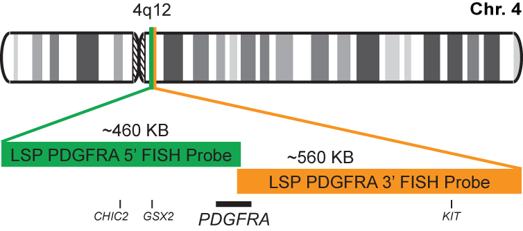 PDGFRA Break Apart FISH Probe Kit