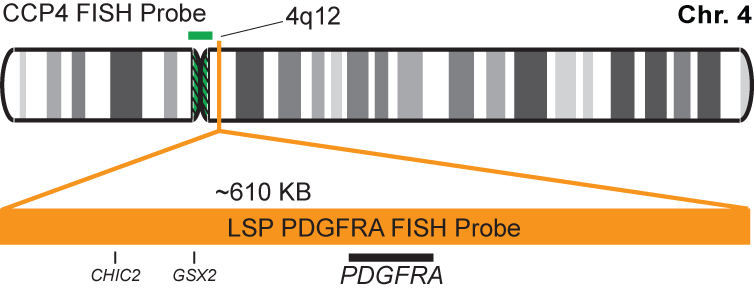 PDGFRA/CCP4 FISH Probe Kit
