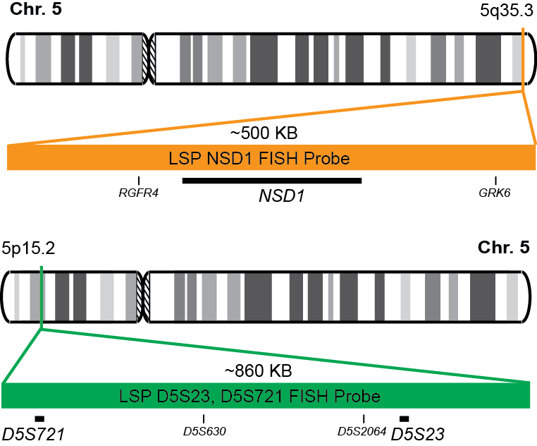 NSD1/D5S23, D5S721 FISH Probe Kit 