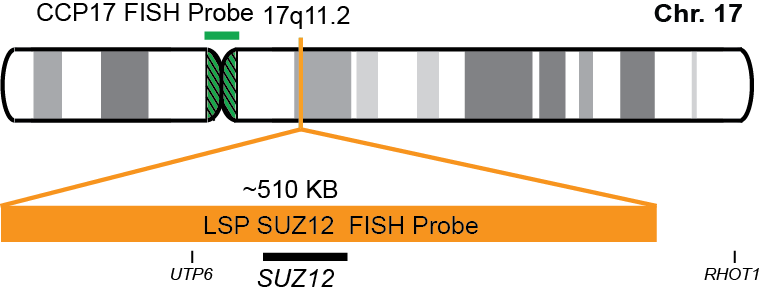 SUZ12/CCP17 FISH Probe Kit