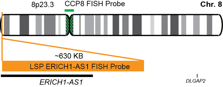 ERICH1-AS1/CCP8 FISH Probe Kit 