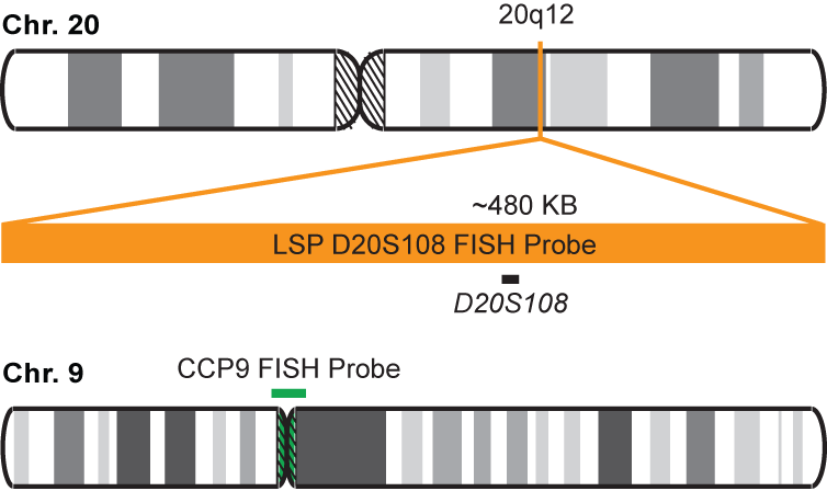 D20S108/CCP9 FISH Probe Kit