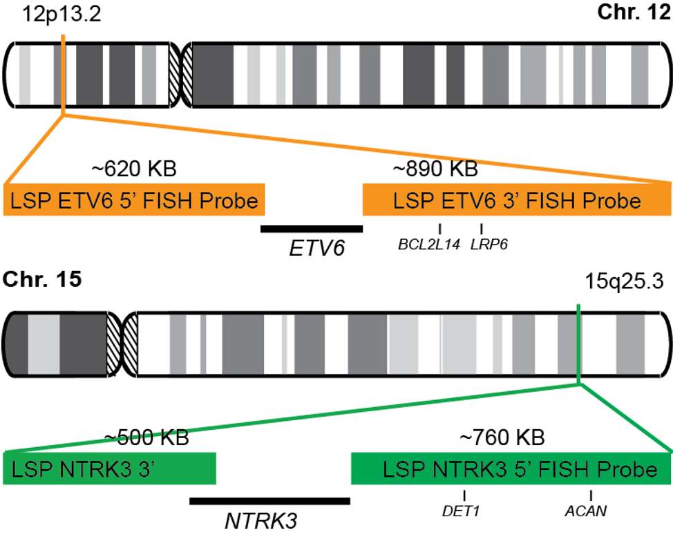 ETV6-NTRK3 Dual Fusion/Translocation FISH Probe Kit