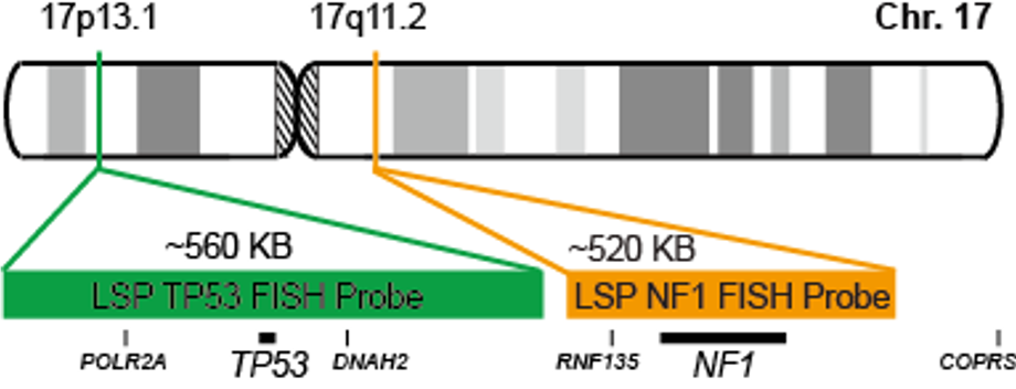 NF1/TP53 FISH Probe Kit