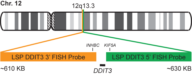 DDIT3 Break Apart FISH Probe Kit
