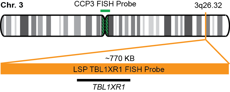TBL1XR1/CCP3 FISH Probe Kit  