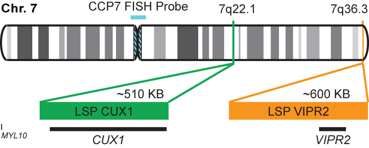 CUX1/VIPR2/CCP7 FISH Probe Kit