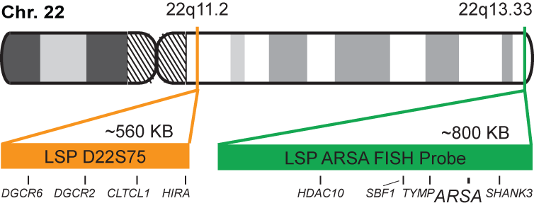 D22S75/ARSA FISH Probe Kit