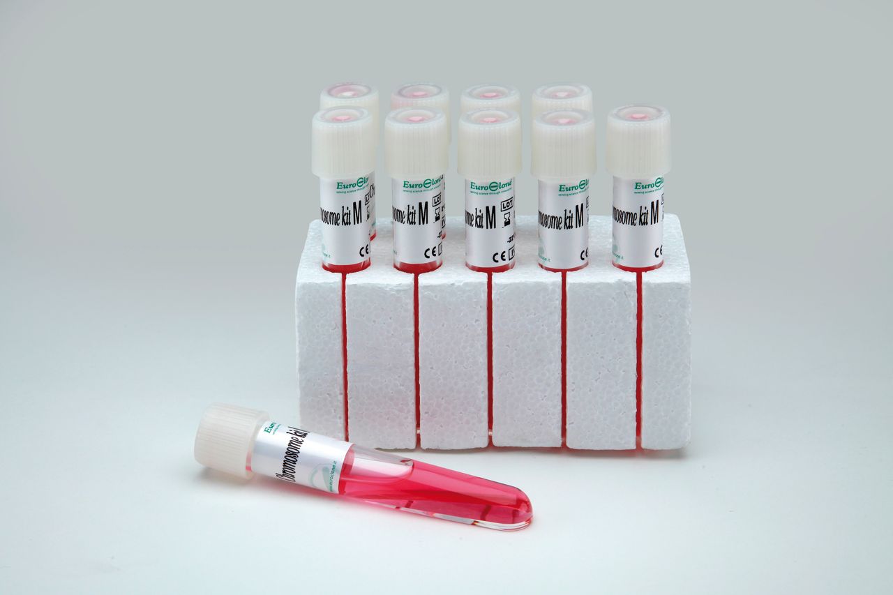 Chromosome Kit M