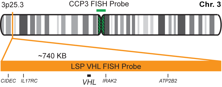VHL/CCP3 FISH Probe Kit