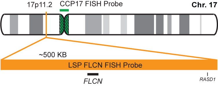 FLCN/CCP17 FISH Probe Kit  
