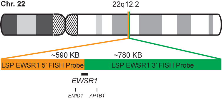 EWSR1 Break Apart FISH Probe Kit