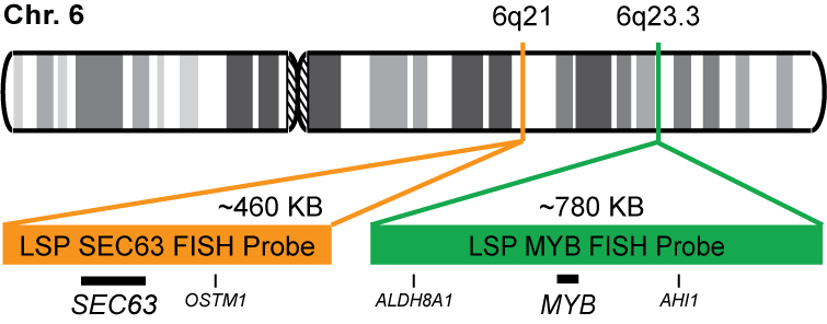 SEC63/MYB FISH Probe Kit  