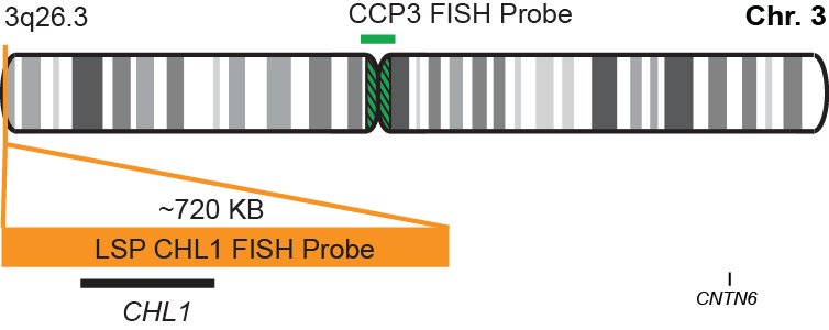 CHL1/CCP3 FISH Probe Kit 