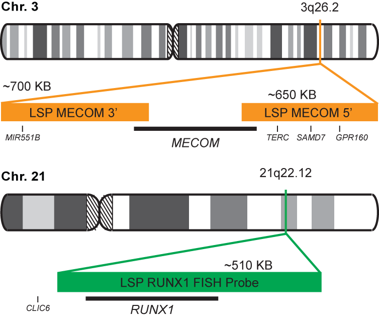 MECOM-RUNX1 Dual Fusion/Translocation FISH Probe Kit