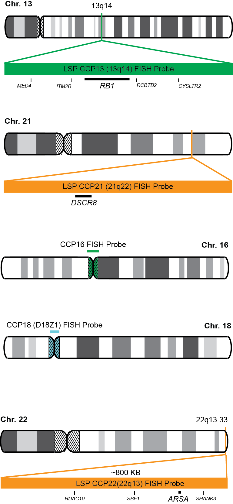 CCP13, 16, 18, 21, 22 FISH Probe Kit 