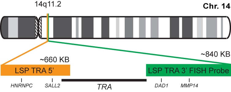 TRA Break Apart FISH Probe Kit 