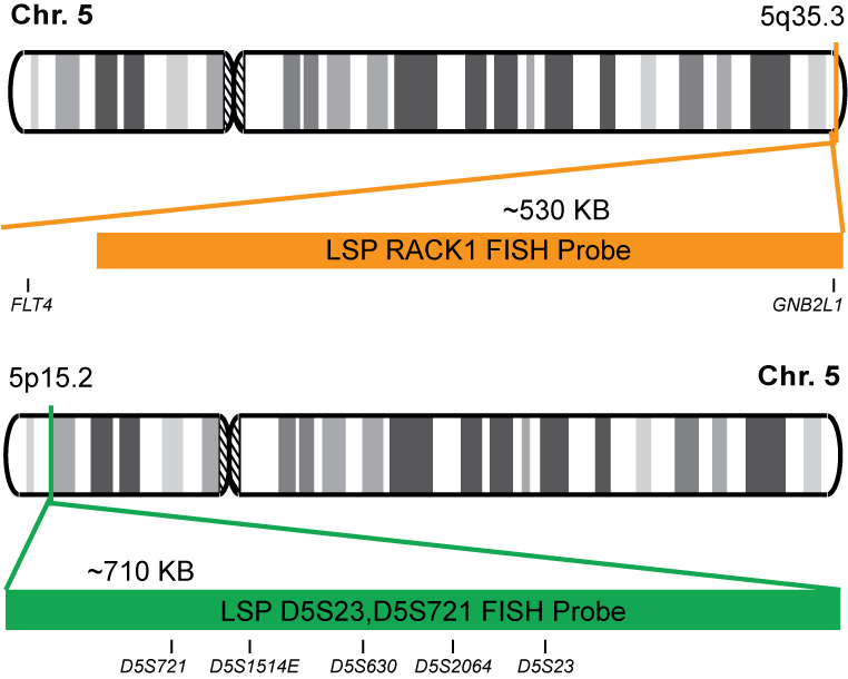 RACK1/D5S23, D5S721 FISH Probe Kit 