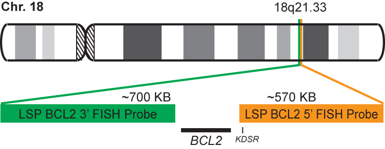BCL2 Break Apart FISH Probe Kit