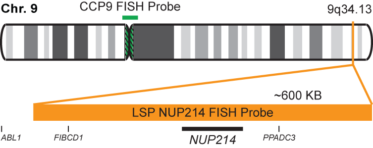 NUP214/CCP9 FISH Probe Kit