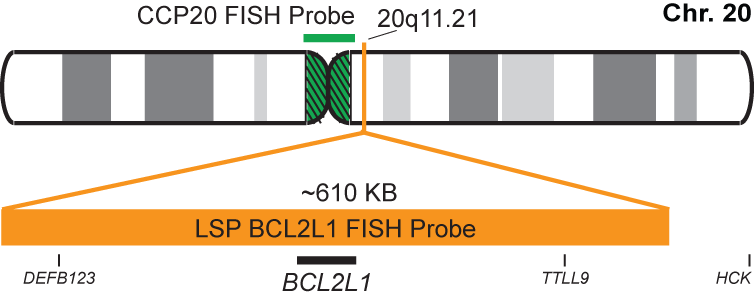 BCL2L1/CCP20 FISH Probe Kit  