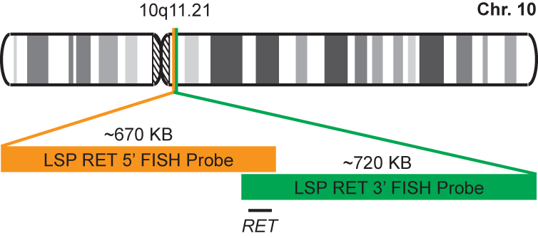 RET Break Apart FISH Probe Kit 